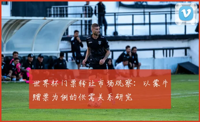 世界杯门票转让市场观察：以蒙牛赠票为例的供需关系研究